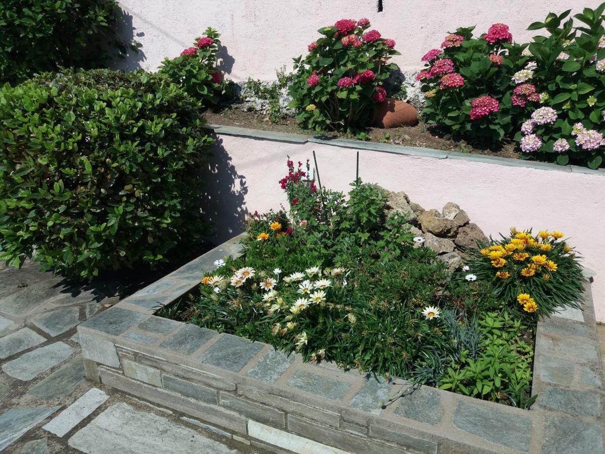 Tsagarada Cottage Dış mekan fotoğraf